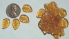 25 14mm Topaz Leaf Glass Beads